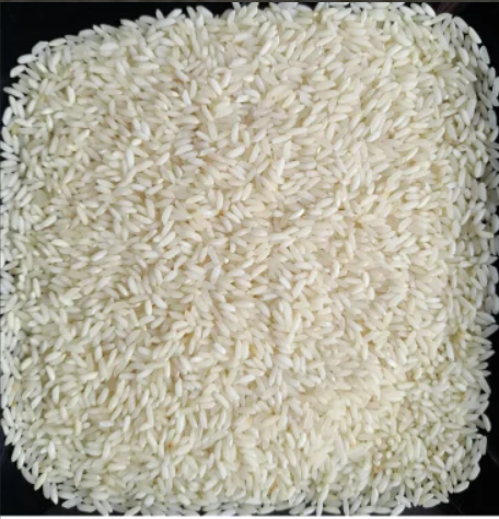 Sona Masoori SteamRice